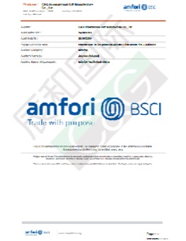 amfori BSCI summary audit report